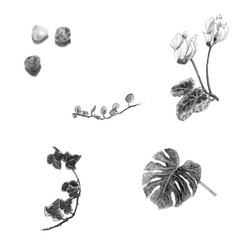 「四月と十月」カット／四月と十月編集室
